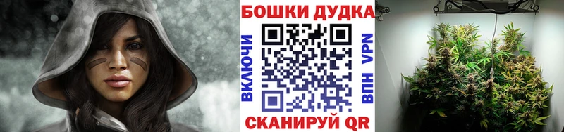 Шишки марихуана White Widow  Купить  Ивангород 